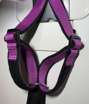 Preview: Welpengeschirr - brombeere/schwarz